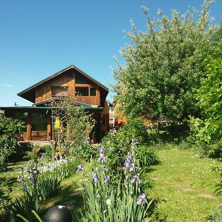 Casa Natalia Hotel Braşov Esterno foto
