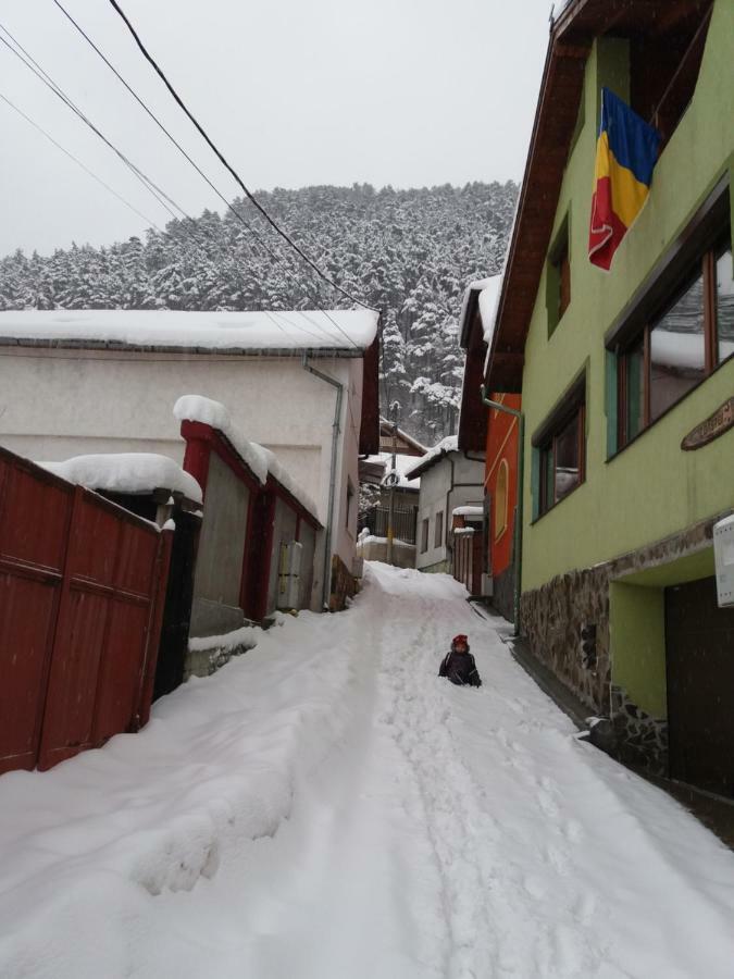 Casa Natalia Hotel Braşov Esterno foto