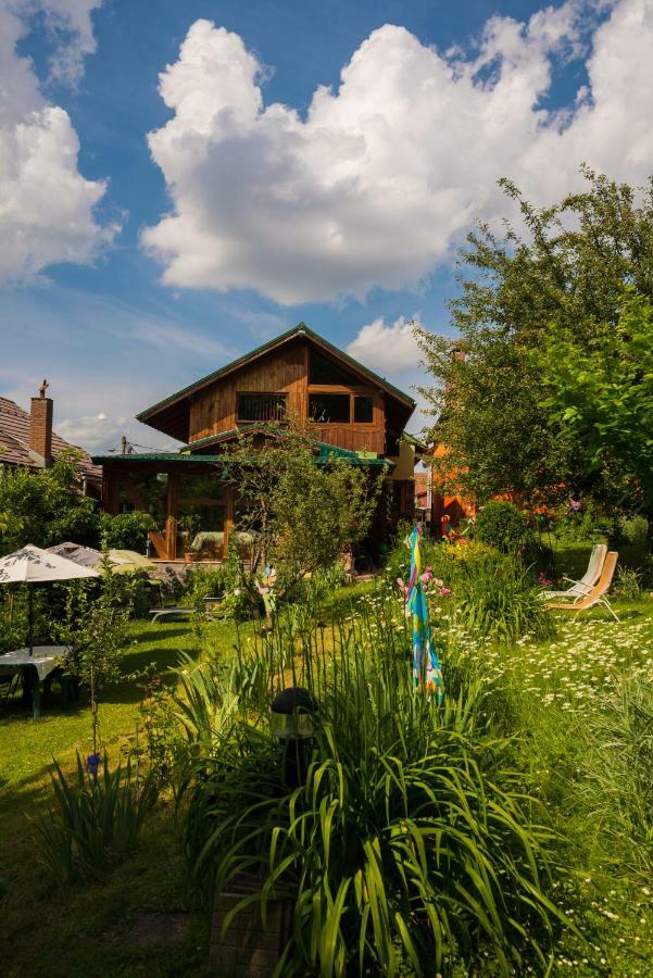 Casa Natalia Hotel Braşov Esterno foto