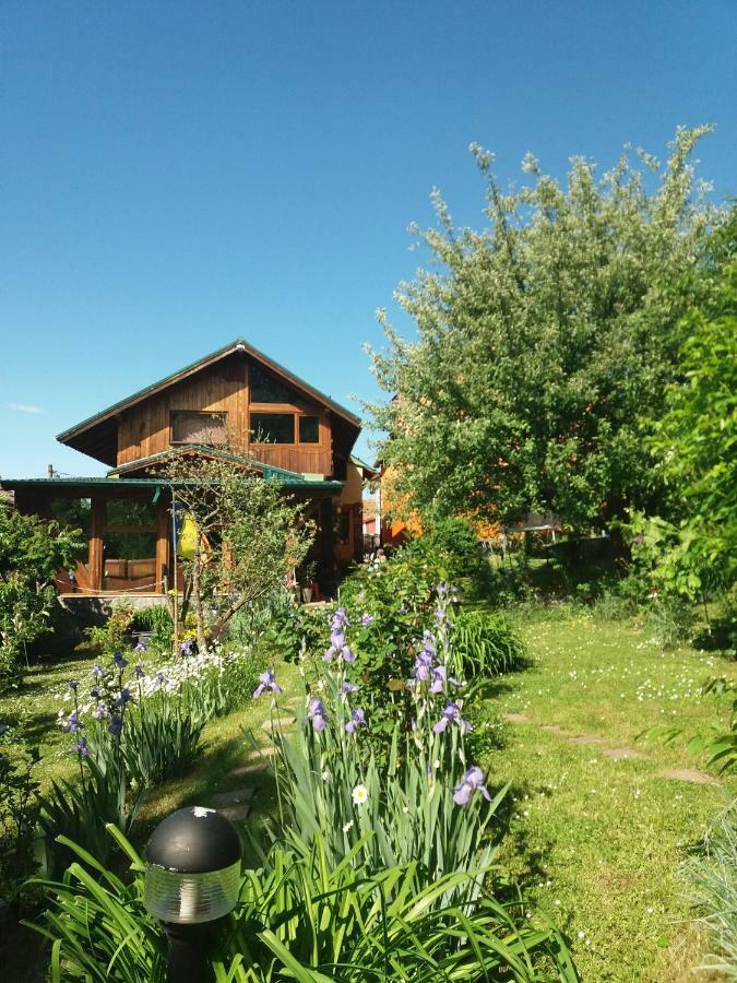Casa Natalia Hotel Braşov Esterno foto